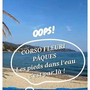 Appartement Splendide 6 P à 150 M Plage, à Pied, Le Lavandou